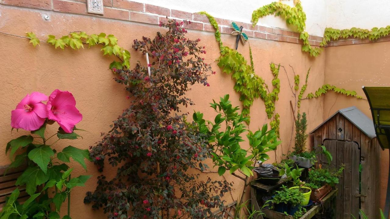مبيت وإفطار ألبي Autan Des Couleurs المظهر الخارجي الصورة